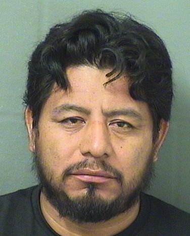  BAUDILIO THOMASMARROQUIN Results from Palm Beach County Florida for  BAUDILIO THOMASMARROQUIN