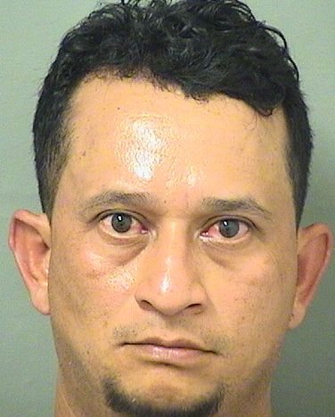  NELSON ERAZO Results from Palm Beach County Florida for  NELSON ERAZO