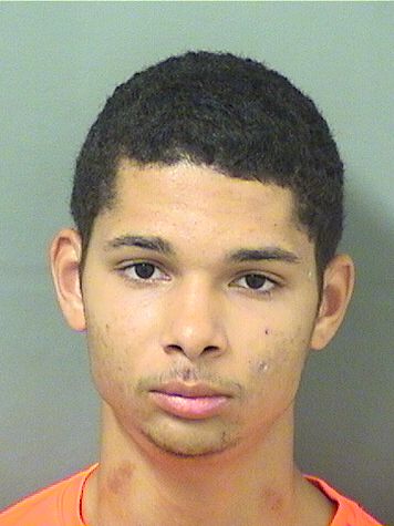  LORENZO MICHAEL EARLE Resultados de la busqueda para Palm Beach County Florida para  LORENZO MICHAEL EARLE