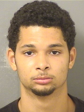 LORENZO MICHAEL EARLE Results from Palm Beach County Florida for LORENZO MICHAEL EARLE LORENZO MICHAEL EARLE Results from Palm Beach County Florida for LORENZO MICHAEL EARLE