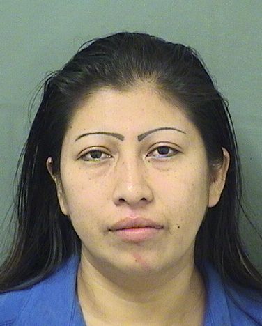  ENEDINA PEREZORTIZ Resultados de la busqueda para Palm Beach County Florida para  ENEDINA PEREZORTIZ