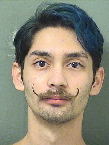  CORY C GONZLEZ Results from Palm Beach County Florida for  CORY C GONZLEZ