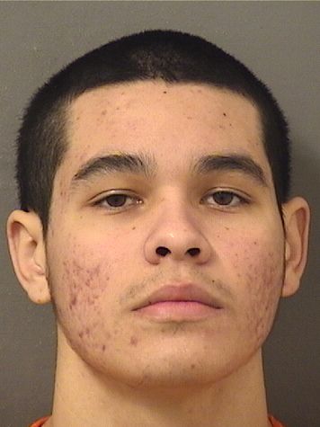  JACOB A STEINMETZ Resultados de la busqueda para Palm Beach County Florida para  JACOB A STEINMETZ