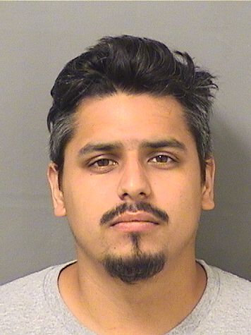  LUIS FERNANDO Jr VELAZQUEZ Results from Palm Beach County Florida for  LUIS FERNANDO Jr VELAZQUEZ