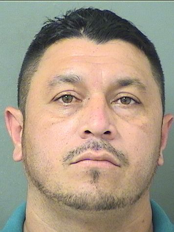  WILMER ANTONIO RUBIOVELASQUEZ Results from Palm Beach County Florida for  WILMER ANTONIO RUBIOVELASQUEZ