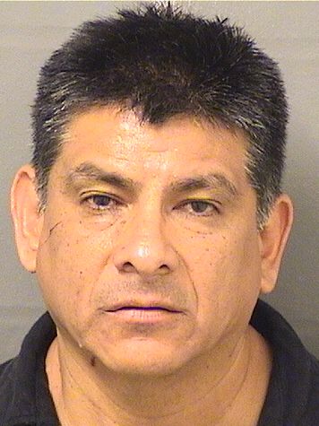  RAFAEL JAMES DELCARPIO Results from Palm Beach County Florida for  RAFAEL JAMES DELCARPIO