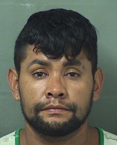  JOSE MANDEOLA Results from Palm Beach County Florida for  JOSE MANDEOLA