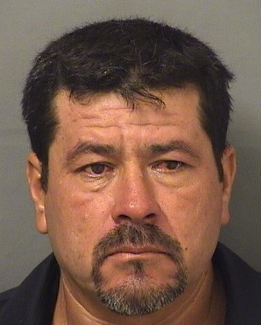  JOSE ALBERTO TORRESLIMON Results from Palm Beach County Florida for  JOSE ALBERTO TORRESLIMON