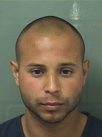  VLADIMIR DEJESUS CABRERAPROENZA Results from Palm Beach County Florida for  VLADIMIR DEJESUS CABRERAPROENZA
