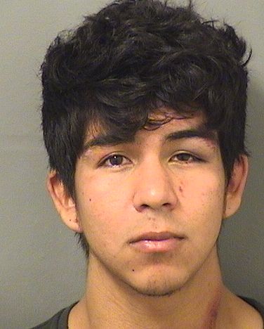 MICHAEL ORTIZ Photos For  MICHAEL ORTIZ  MICHAEL ORTIZ Photo For  MICHAEL ORTIZ