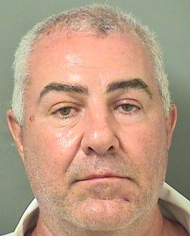  MICHAEL DEZELICH Results from Palm Beach County Florida for  MICHAEL DEZELICH