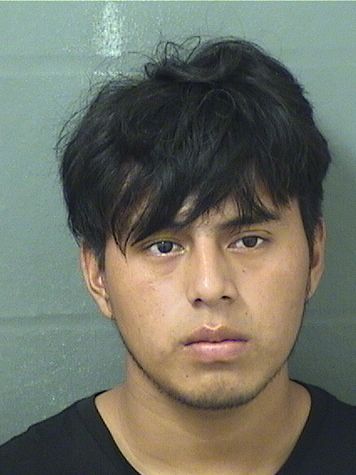  WILMER ELIZAMER MENDEZDIAZ Results from Palm Beach County Florida for  WILMER ELIZAMER MENDEZDIAZ