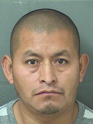  HUGO RAFAEL BATZ Results from Palm Beach County Florida for  HUGO RAFAEL BATZ