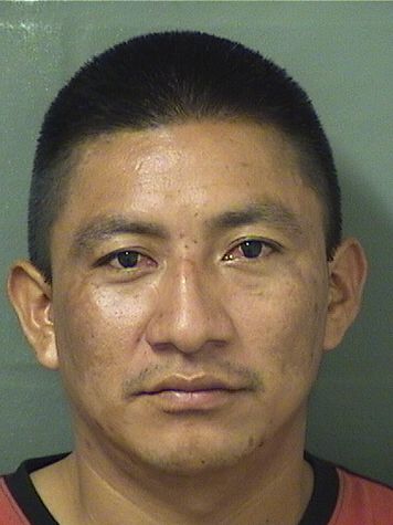  MIGUEL MENDEZFELIPE Resultados de la busqueda para Palm Beach County Florida para  MIGUEL MENDEZFELIPE