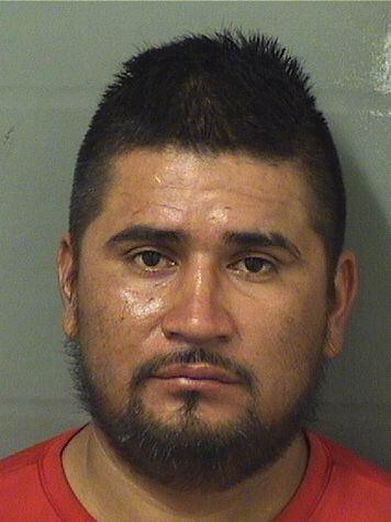  ALEJANDRO VAZQUEZ Results from Palm Beach County Florida for  ALEJANDRO VAZQUEZ