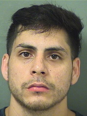  MARCO ANTONIO PALOMINO Results from Palm Beach County Florida for  MARCO ANTONIO PALOMINO