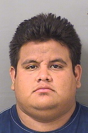  ALEXIS STEVE MERLO Results from Palm Beach County Florida for  ALEXIS STEVE MERLO