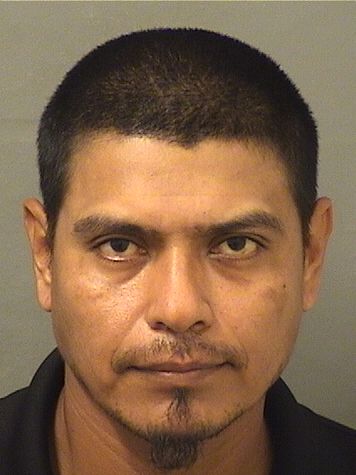 FRANCISCO PALACIOSPINEDA Results from Palm Beach County Florida for FRANCISCO PALACIOSPINEDA FRANCISCO PALACIOSPINEDA Results from Palm Beach County Florida for FRANCISCO PALACIOSPINEDA