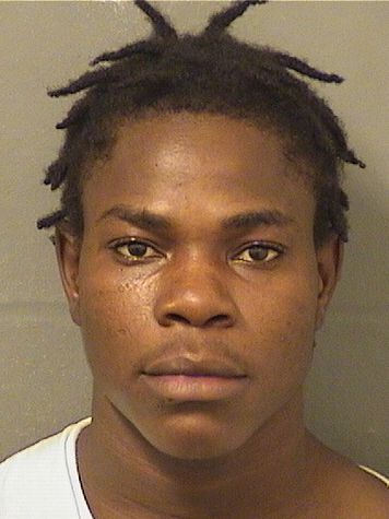  PHADAEL WALY Results from Palm Beach County Florida for  PHADAEL WALY