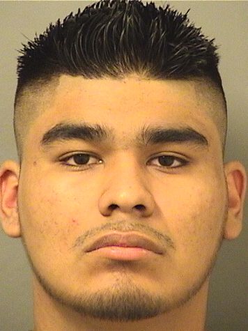  ALEXZANDER MARTINEZ Results from Palm Beach County Florida for  ALEXZANDER MARTINEZ