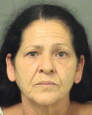  MARTA GUILLENNUNEZ Results from Palm Beach County Florida for  MARTA GUILLENNUNEZ