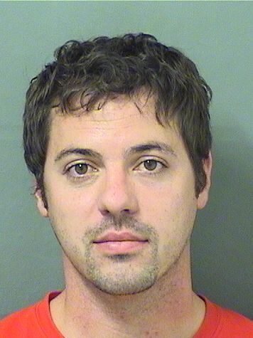  DAVID WILLIAM 2 HANSON Results from Palm Beach County Florida for  DAVID WILLIAM 2 HANSON