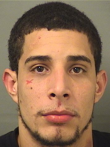  ANTHONY S RODRIGUEZ Results from Palm Beach County Florida for  ANTHONY S RODRIGUEZ