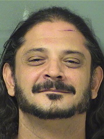  MICHAEL MICHAELIDIS Resultados de la busqueda para Palm Beach County Florida para  MICHAEL MICHAELIDIS