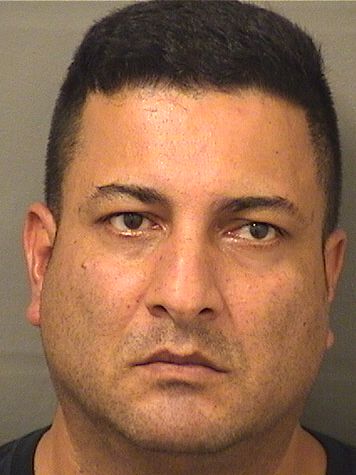  CARLOS A AMAYA Results from Palm Beach County Florida for  CARLOS A AMAYA