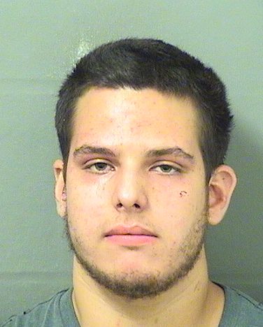  DYLAN A SANGRICCO Results from Palm Beach County Florida for  DYLAN A SANGRICCO