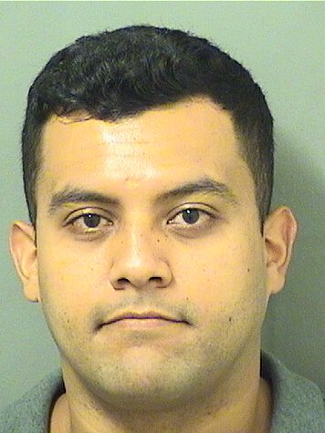  JUAN CAMILO MONTOYALUNA Results from Palm Beach County Florida for  JUAN CAMILO MONTOYALUNA