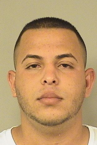  ARIELALCIDES CASTELLANOSMIRANDA Results from Palm Beach County Florida for  ARIELALCIDES CASTELLANOSMIRANDA