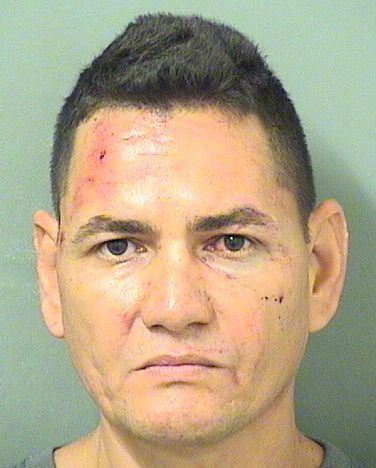  RAUL O ARANDAGUILLEN Results from Palm Beach County Florida for  RAUL O ARANDAGUILLEN