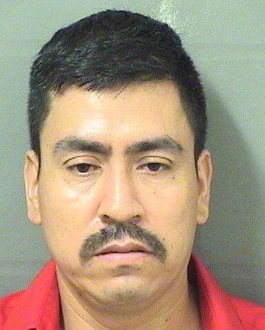  SALVADOR TORRESS MONTIEL Results from Palm Beach County Florida for  SALVADOR TORRESS MONTIEL
