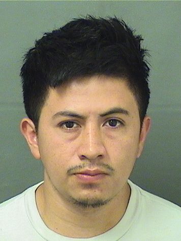  SELVIN VASQUEZ HERNANDEZ Photo