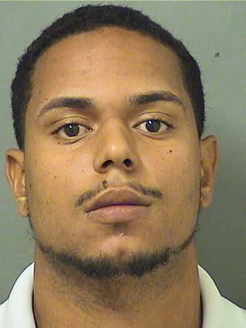  ALEXANDRE MARIO BROWN Results from Palm Beach County Florida for  ALEXANDRE MARIO BROWN