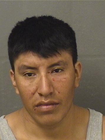  MAXIMILIANO BERDUOMAURICIO Results from Palm Beach County Florida for  MAXIMILIANO BERDUOMAURICIO