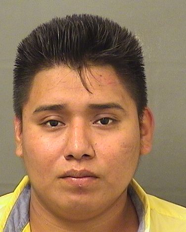  MISAEL ESPANAGONZALEZ Results from Palm Beach County Florida for  MISAEL ESPANAGONZALEZ