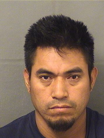  VICTORIANO R SANCHEZRISCAJCHE Results from Palm Beach County Florida for  VICTORIANO R SANCHEZRISCAJCHE