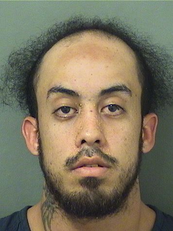  CARLOS ANTONIO VERDEJOFIGUEROA Resultados de la busqueda para Palm Beach County Florida para  CARLOS ANTONIO VERDEJOFIGUEROA