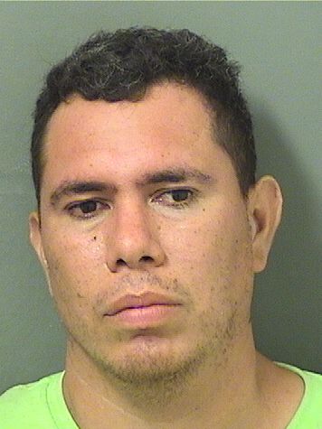  MELVIN LANDAVERDEBENITEZ SALOMON Results from Palm Beach County Florida for  MELVIN LANDAVERDEBENITEZ SALOMON