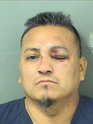  RIGOBERTO ALVAREZ BALDERAS Results from Palm Beach County Florida for  RIGOBERTO ALVAREZ BALDERAS
