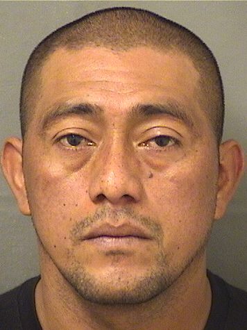  RONY ANTONIO GALICIAGONZALES Resultados de la busqueda para Palm Beach County Florida para  RONY ANTONIO GALICIAGONZALES