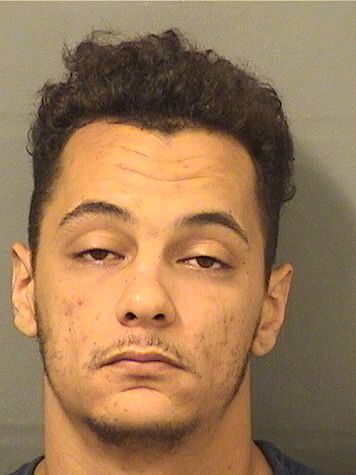  JACOB MATTHEW BURTON Results from Palm Beach County Florida for  JACOB MATTHEW BURTON