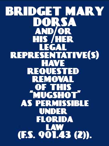  BRIDGET MARY DORSA Results from Palm Beach County Florida for  BRIDGET MARY DORSA