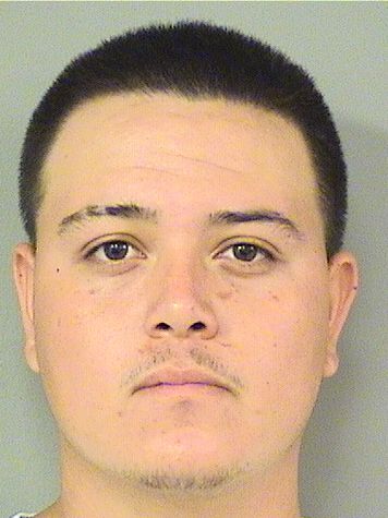  ANDRES FONSECA HERNANDEZ Results from Palm Beach County Florida for  ANDRES FONSECA HERNANDEZ