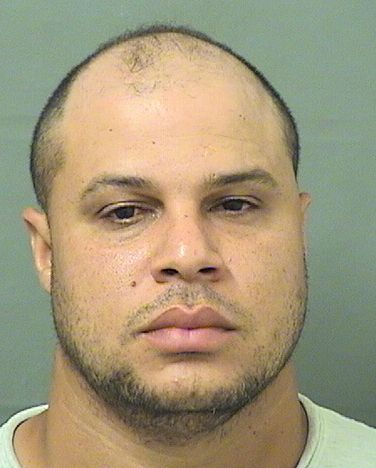  SANTIAGO SOSA ESCARFULLER Resultados de la busqueda para Palm Beach County Florida para  SANTIAGO SOSA ESCARFULLER