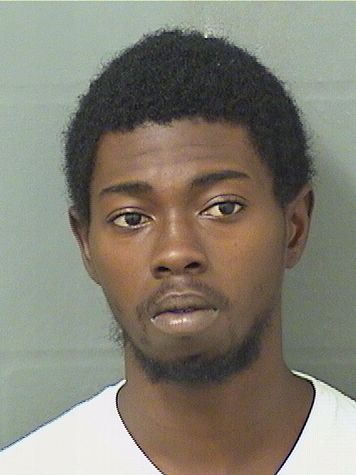  DERREK L JOHNSON II Results from Palm Beach County Florida for  DERREK L JOHNSON II