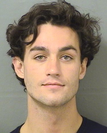  ETHAN EDWARD GUINAZZO Results from Palm Beach County Florida for  ETHAN EDWARD GUINAZZO