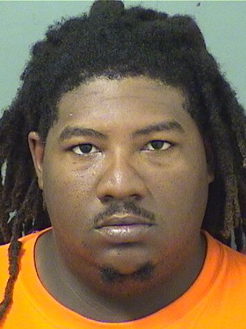  JULIAN TIMOTHY WILLIAMS Results from Palm Beach County Florida for  JULIAN TIMOTHY WILLIAMS